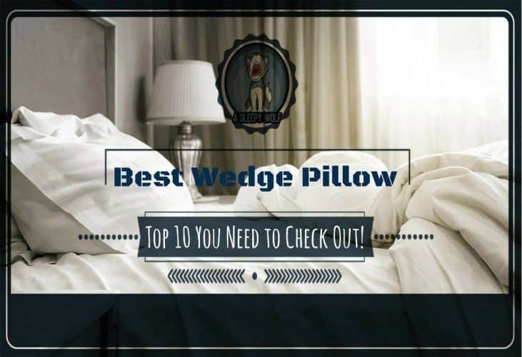 Best-Wedge-Pillow