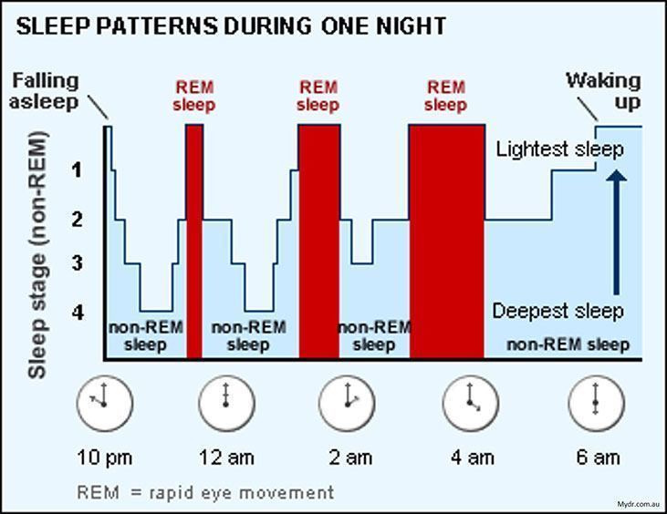 How Much Rem Sleep Should A Child Have