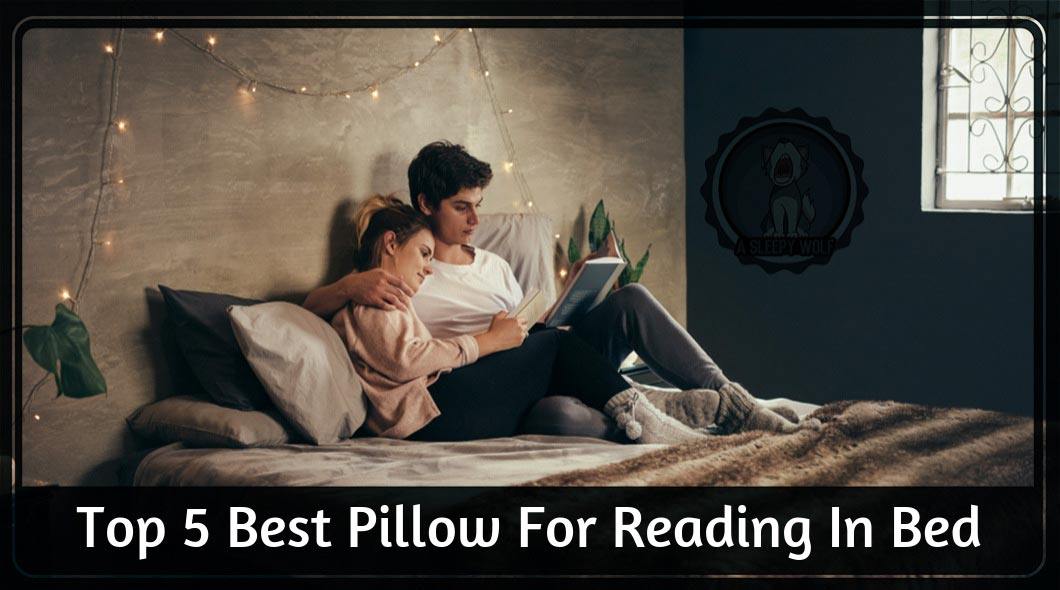 best reading pillow