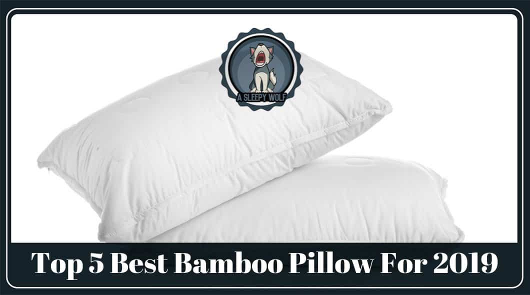 Best Bamboo Pillow 5 Brands For AllNatural and Amazing Sleep!