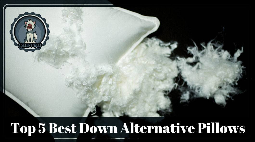 Best Down Alternative Pillows NO MORE Allergies with 5 Great Brands