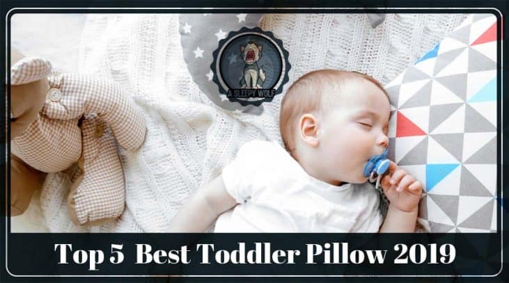 Best Toddler Pillow 2019 Top 5 Great Pillows For Your Lovely Child