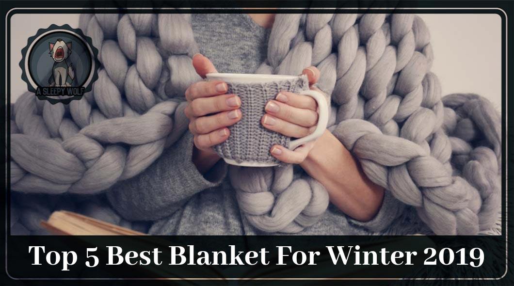 Best Blanket For Winter 2019 5 Brands To Keep You Warm All Night!