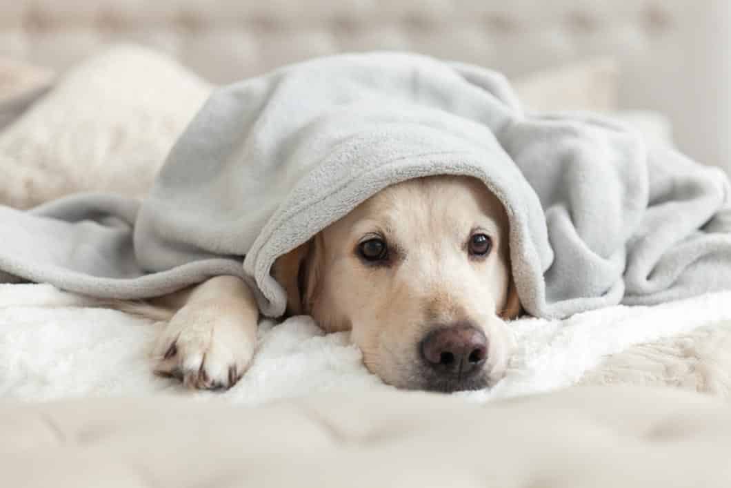 cold blanket for summer air conditioning blanket
